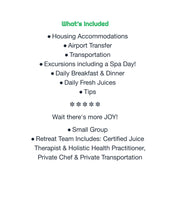 Load image into Gallery viewer, All Joy!